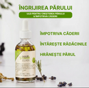 Ulei Glorea Impotriva Caderii Parului | Stimularea Cresterii Parului | Rozmarin Si Uleiuri Esentiale, 60ml