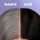 Sampon Glorea Impotriva Albirii | Efect 3 in 1: Colorare, Curatare si Hranire Par | Diverse culori