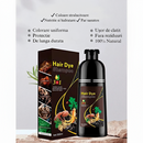 Sampon Glorea Impotriva Albirii | Efect 3 in 1: Colorare, Curatare si Hranire Par | Diverse culori