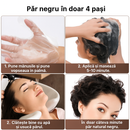 Sampon Colorant Glorea 3 in 1 | Set 10 Plicuri Impotriva Albirii x 30ml, Fara Amoniac, Negru / Castaniu